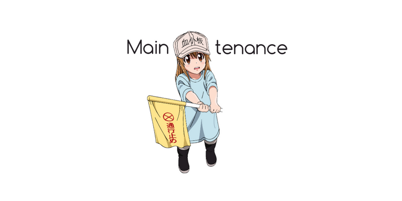 Online Store Maintenance - 29/08/20